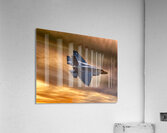 Oceana Air Show F-35c Acrylic Print