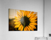 Solar Acrylic Print