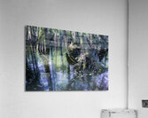 Ethereal Cypress Tree Morning  Reflections Acrylic Print