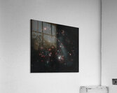 Astronight Astrophotography 1 Acrylic Print