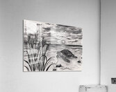Sea Grass with Turtle at Sunset Oct 23 2025 at 1 25 12 PM Acrylic Print