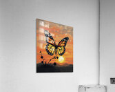 Sunset Butterfly Beauty 2025 at 9 54 18 PM Acrylic Print