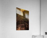 Virginia Cypress Forest Reflections Acrylic Print