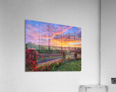 09Aug Belltown Hill Orchards Acrylic Print