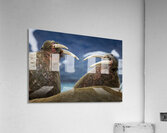 SIBLING QUARRELS Acrylic Print