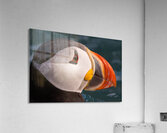 THE CONTEMPLATIVE PUFFIN Acrylic Print