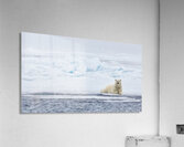 EMPRESS OF THE ARCTIC Acrylic Print