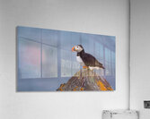 BETWEEN SEA SKY Acrylic Print