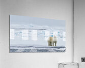 EMPRESS OF THE ARCTIC 2 Acrylic Print