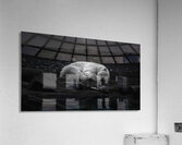 DREAMING OF ICE Acrylic Print