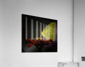 LANDING PAD Acrylic Print