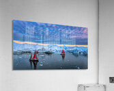 RED DUO Acrylic Print