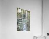 Southern Cypress Forest Acrylic Print