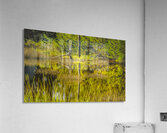 Southern Marsh Mirrored Reflections Acrylic Print