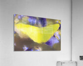 The Yellow Ginkgo Leaf Acrylic Print