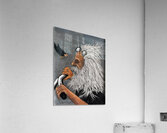 IMG 4234 Bird hits motorcycle rider Acrylic Print