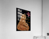 IMG 4223.grizzly bear  holding pink flower Acrylic Print