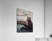 IMG 4224 Grizzly bears splashing in the water Acrylic Print