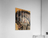 IMG 4232 Mountain man blue eyed horse Acrylic Print