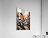 IMG 4309. leprechaun and a bear Acrylic Print