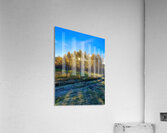 IMG 2246 cool colors in this landscape Acrylic Print