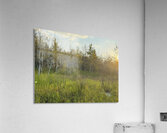 IMG 4250 Orange sun going down in the trees Acrylic Print