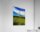 IMG 4040.blue sky and green  Acrylic Print