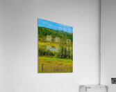 IMG 4042 high mountain pond Acrylic Print