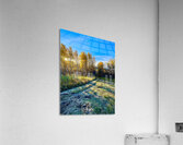 IMG 2247  Beautiful fall day Acrylic Print