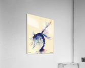 Frailed Feathers  Acrylic Print