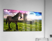 The Unicorn House Acrylic Print