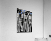 Hues of the Bamboo Blue Forest Acrylic Print