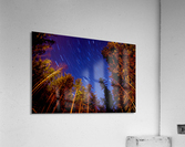 forest star trails  Acrylic Print