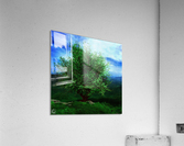 The Katahdin Tree Acrylic Print