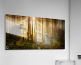 Forgotten Acrylic Print
