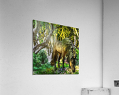 Heavenly Lane Acrylic Print