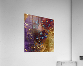 Cosmic Dissedence Acrylic Print