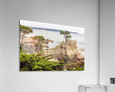 Lone Cypress at Pebble Beach 1513  Acrylic Print