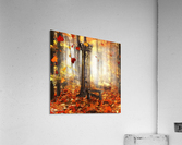 The Bench Acrylic Print