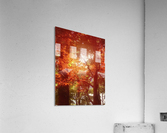 Autumn Leaves  Acrylic Print