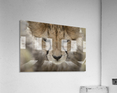The Prayer Acrylic Print