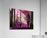The Glade Walkers Acrylic Print