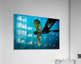 Boat Rudder   Kauai Hawaii 0516 Acrylic Print