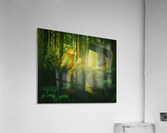 Kingdom Acrylic Print