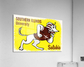 Southern Illinois University Salukis Acrylic Print
