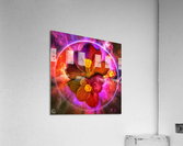Crocus Acrylic Print