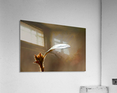 The Portal of Life Acrylic Print