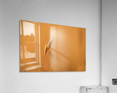 Golden Hour Grass Acrylic Print