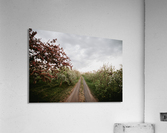Chemin fleuri Acrylic Print