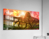 Nyctaeus Color Version Acrylic Print